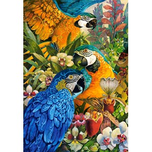 Castorland (C-103485) - David Galchutt: "Amazon" - 1000 pieces puzzle