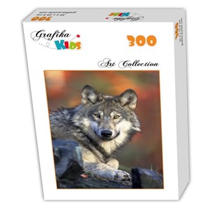 Grafika Kids (00515) - "Wolf" - 300 pieces puzzle