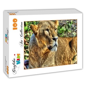 Grafika (00957) - "Lioness" - 100 pieces puzzle