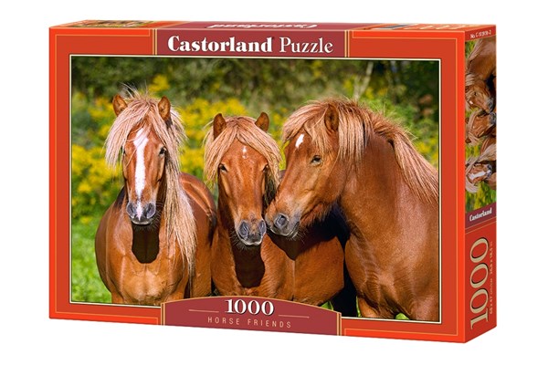 Castorland (C-103959) - "Horse Friends" - 1000 pieces puzzle