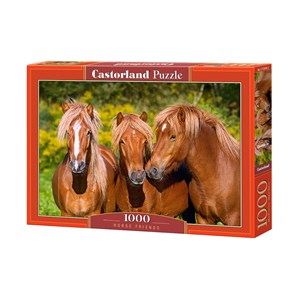 Castorland (C-103959) - "Horse Friends" - 1000 pieces puzzle