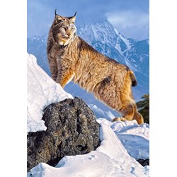 Castorland (C-103560) - "Lynx" - 1000 pieces puzzle