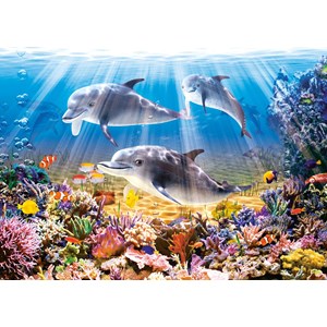 Castorland (B-52547) - "Dolphins Underwater" - 500 pieces puzzle