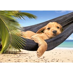 Castorland (B-52554) - "Leisure Time" - 500 pieces puzzle