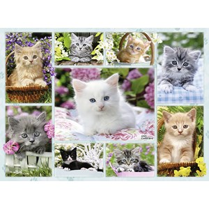Ravensburger (14196) - "Kittens in their baskets" - 500 pieces puzzle