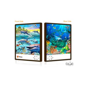Pintoo (U1002) - "Dolphins and wreckage of boat" - 48 pieces puzzle