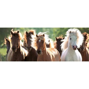 Ravensburger (15091) - "Wild Horses" - 1000 pieces puzzle