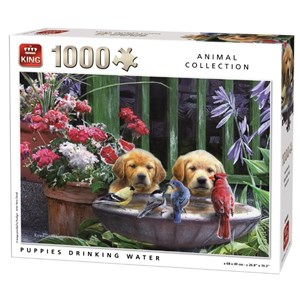King International (05668) - "Puppies drinking Water" - 1000 pieces puzzle