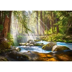 Castorland (B-52875) - "Forest Stream of Light" - 500 pieces puzzle