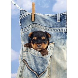 Art Puzzle (4163) - "I Get Dry!" - 500 pieces puzzle