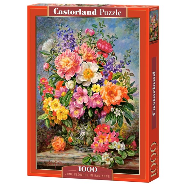 Castorland (C-103904) - "June Flowers in Radiance" - 1000 pieces puzzle