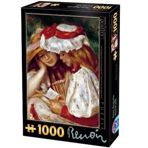 D-Toys (66909-RE08X) - Pierre-Auguste Renoir: "Two Girls Reading" - 1000 pieces puzzle
