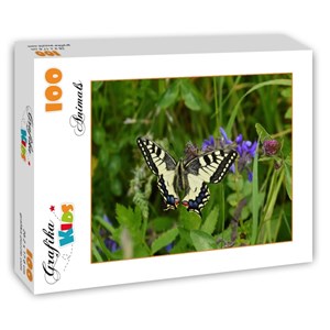 Grafika Kids (01222) - "Butterfly" - 100 pieces puzzle