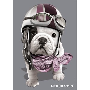 Nathan (87551) - "Teo" - 1000 pieces puzzle