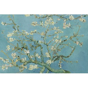 Grafika Kids (00042) - Vincent van Gogh: "Vincent van Gogh, 1890" - 100 pieces puzzle