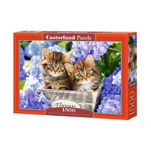 Castorland (C-151561) - "Cute Kittens" - 1500 pieces puzzle