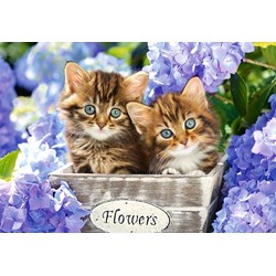 Castorland (C-151561) - "Cute Kittens" - 1500 pieces puzzle