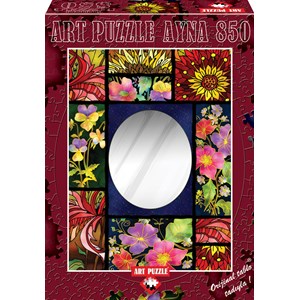 Art Puzzle (4266) - "Mirror" - 850 pieces puzzle