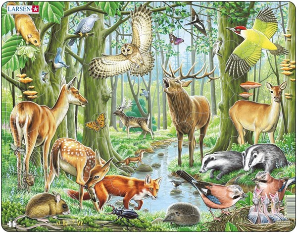 Larsen (FH17) - "European Forest" - 40 pieces puzzle