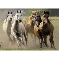 Nathan (87561) - "Herd of Wild Horses" - 1000 pieces puzzle