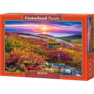 Castorland (C-103539) - "Northern Palette" - 1000 pieces puzzle