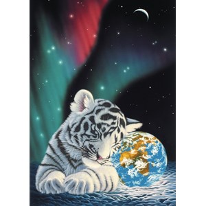 Grafika (T-00401) - Schim Schimmel, William Schimmel: "Earth Light" - 1000 pieces puzzle