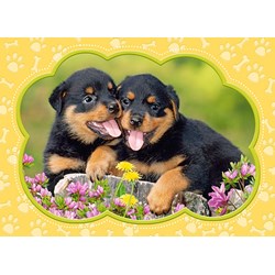 Castorland (B-035205) - "Little Rottweilers" - 35 pieces puzzle
