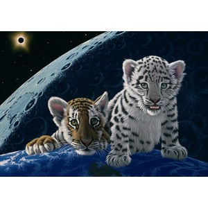 Grafika (02405) - Schim Schimmel: "Total Eclipse" - 1000 pieces puzzle