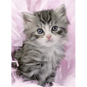Ravensburger (14136) - "Kitten Sweetness" - 500 pieces puzzle