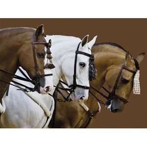 Ravensburger (16339) - "Fortune's Dream" - 1500 pieces puzzle