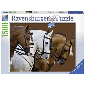 Ravensburger (16339) - "Fortune's Dream" - 1500 pieces puzzle