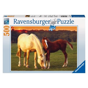 Ravensburger (14347) - "Beautiful Horses" - 500 pieces puzzle