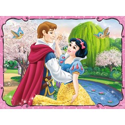 Trefl (90603) - "Disney Princess + Memo" - 30 48 pieces puzzle