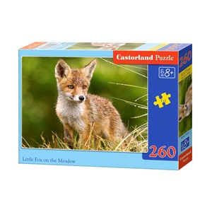 Castorland (B-27354) - "Little Fox on the Meadow" - 260 pieces puzzle