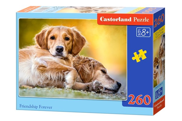 Castorland (B-27361) - "Friendship Forever" - 260 pieces puzzle