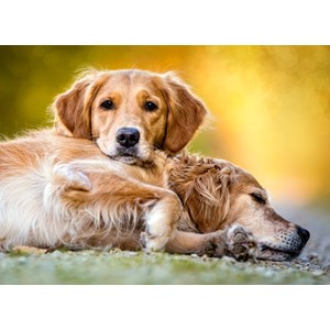 Castorland (B-27361) - "Friendship Forever" - 260 pieces puzzle