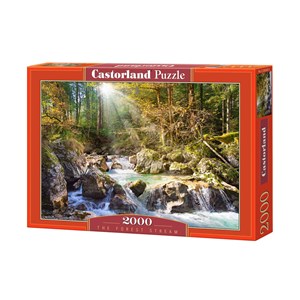 Castorland (C-200382) - "Stream in the Forest" - 2000 pieces puzzle
