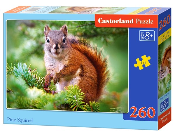 Castorland (B-27422) - "Pine Squirrel" - 260 pieces puzzle