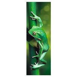 Trefl (75007) - "Little Frog" - 300 pieces puzzle