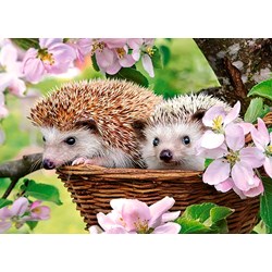 Castorland (B-13319) - "Springtime" - 120 pieces puzzle