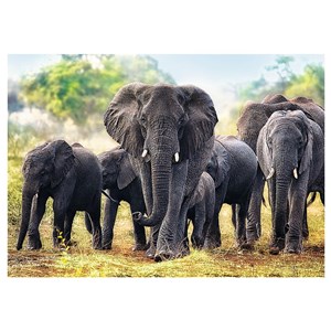 Trefl (10442) - "African Elephants" - 1000 pieces puzzle
