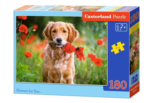 Castorland (B-018284) - "Flowers For You" - 180 pieces puzzle