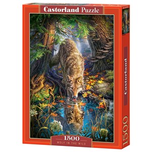 Castorland (C-151707) - "Wolf in the Wild" - 1500 pieces puzzle