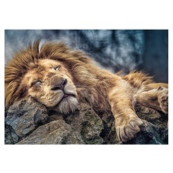 Trefl (10447) - "Sleeping Lion" - 1000 pieces puzzle