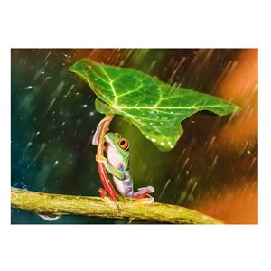 Trefl (37288) - "Green Umbrella" - 500 pieces puzzle