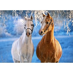 Castorland (B-27378) - "The Winter Horses" - 260 pieces puzzle