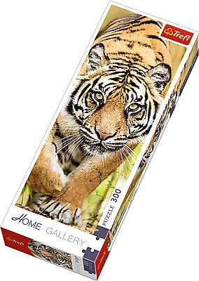 Trefl (75002) - "Tiger" - 300 pieces puzzle