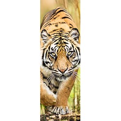 Trefl (75002) - "Tiger" - 300 pieces puzzle