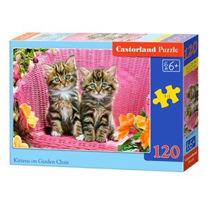 Castorland (B-13357) - "Kittens" - 120 pieces puzzle