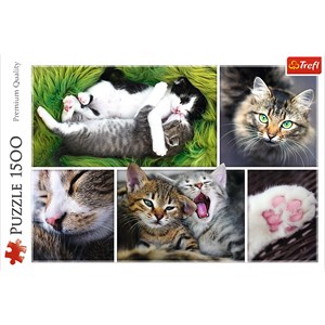 Trefl (26145) - "Collage, Cats" - 1500 pieces puzzle